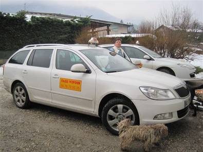 Break Taxi Vifois en hiver